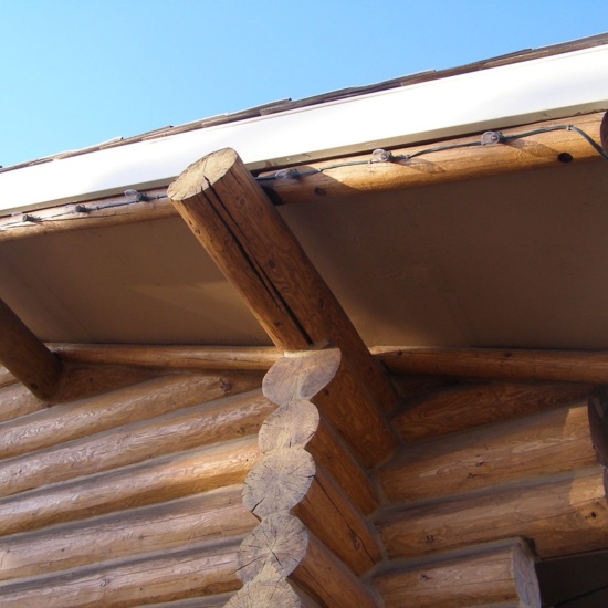 Old Timers' Cabin, 2010, detail